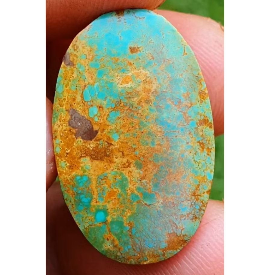 pirus persia asli natural serat emas mantap