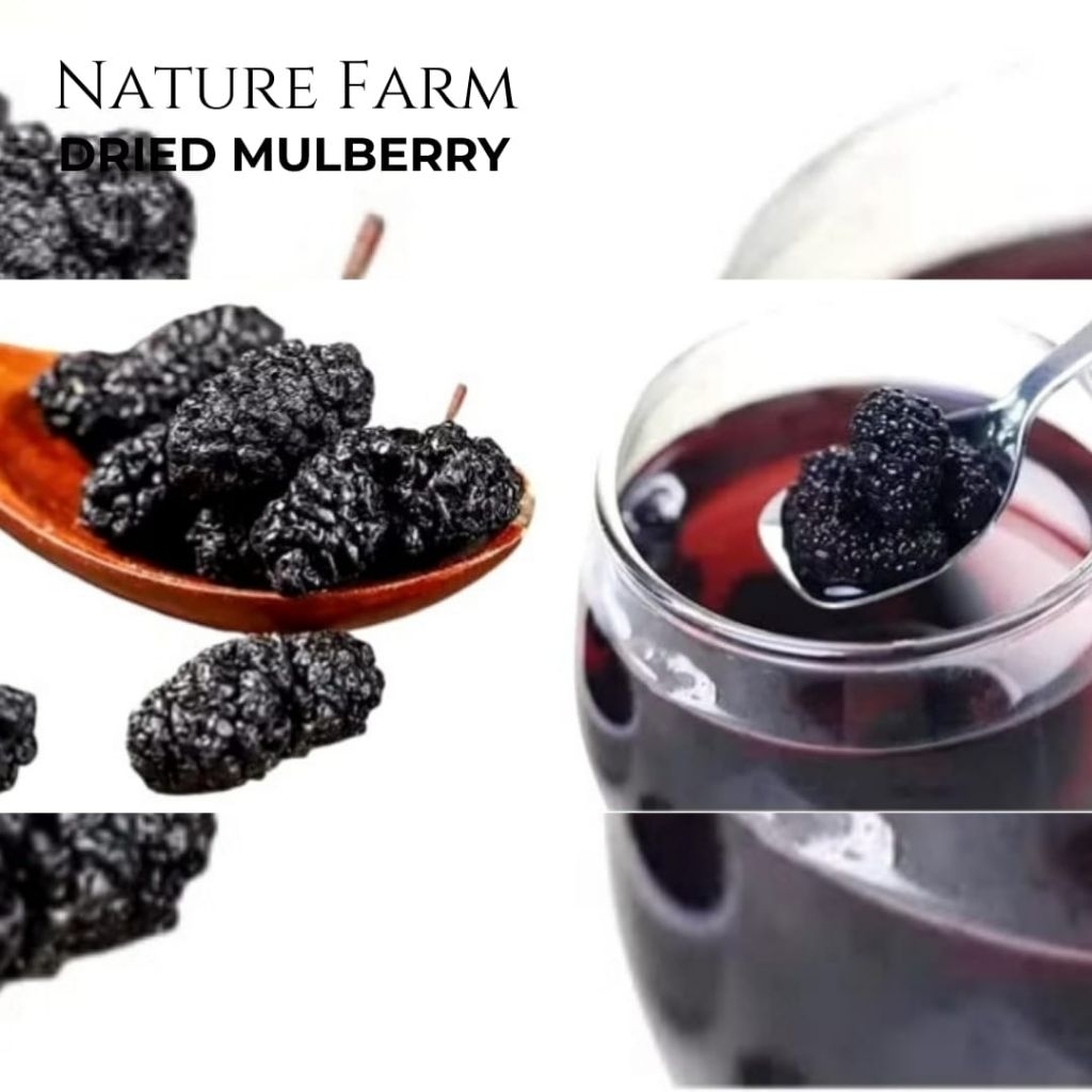 Nature Farm Premium Dried Wild Mulberry Fruit / Teh Buah Mulberi kering - infused water