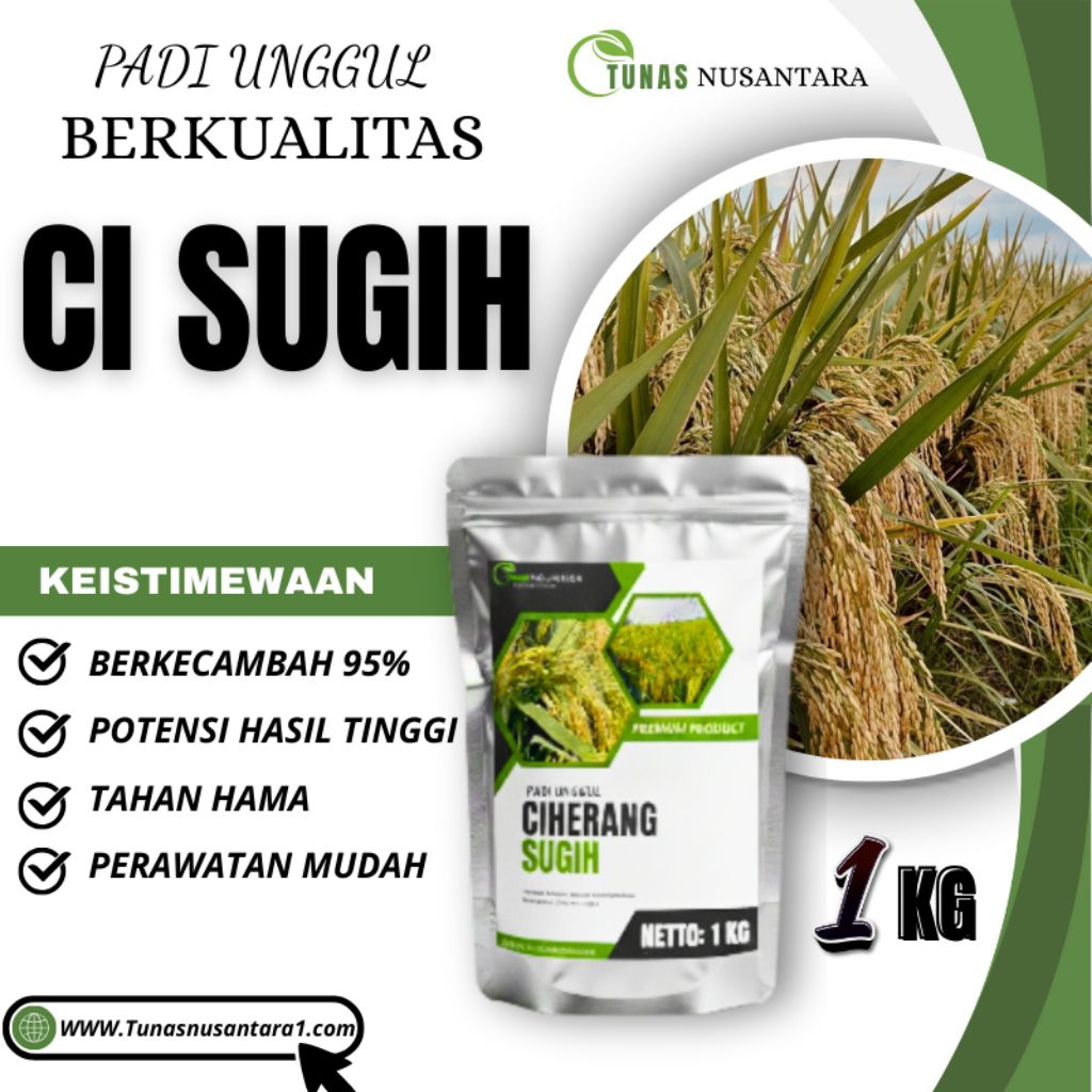 Benih padi unggul CIHERANG SUGIH kemasan 1kg original