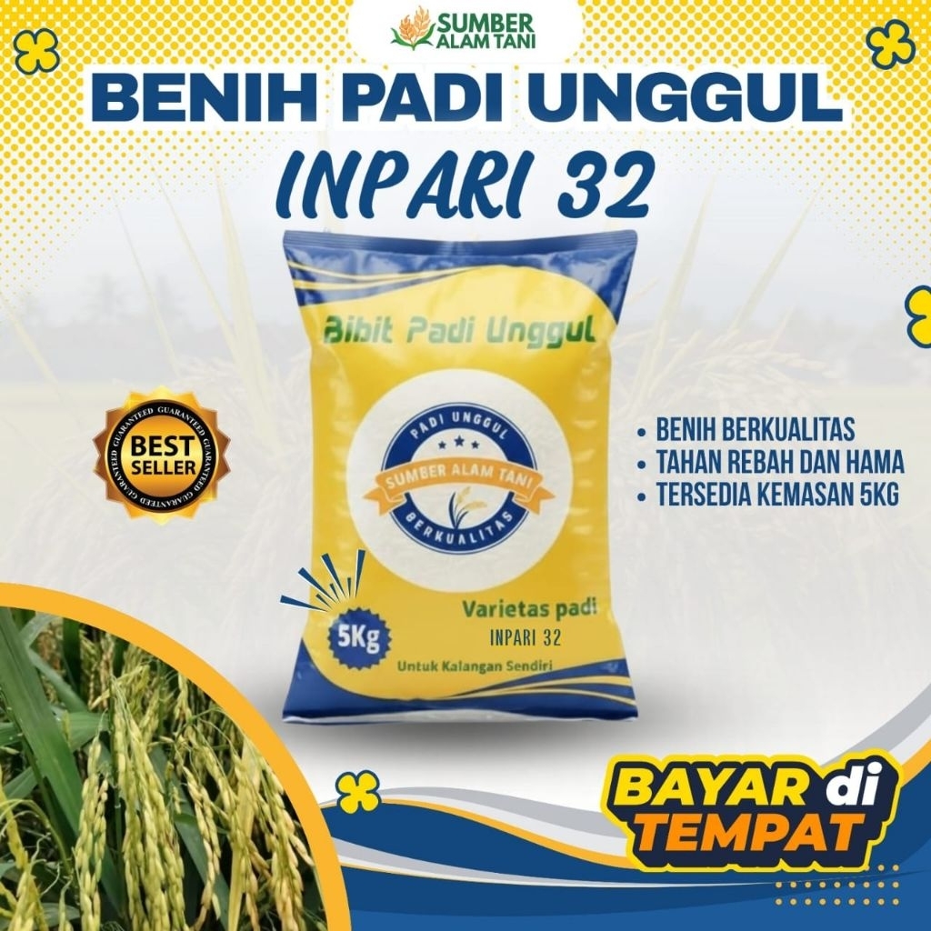 bibit padi unggul Inpari 32 || kemasan 5 kg