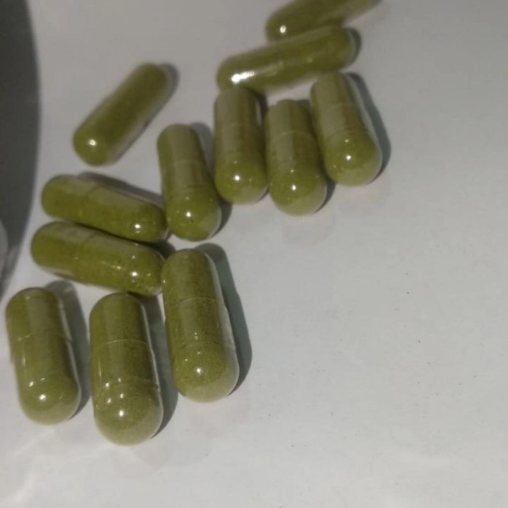 Kapsul daun kenikir 100 kapsul/100 butir 100% MURNI