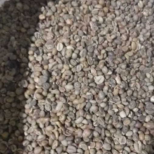 Robusta Asalan Temanggung