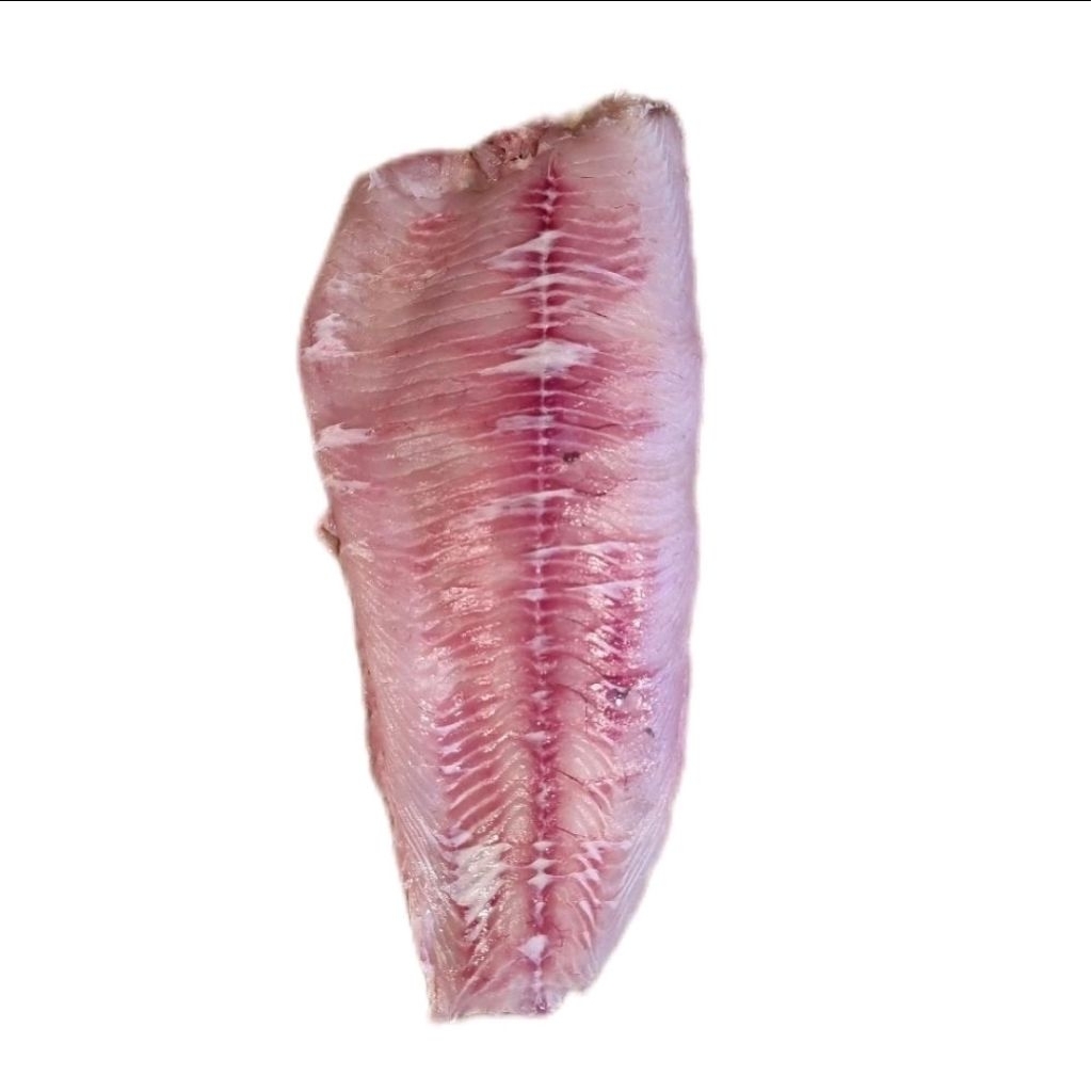 Ikan Gabus Fillet AIR TAWAR Fish Gabus Rawa Fillet Ikan Gabus Tomang Tanpa kulit dan duri