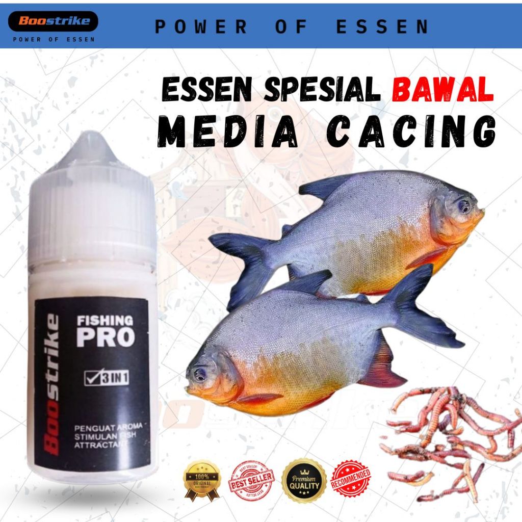 Essen Ikan Bawal Media Cacing Essen Boostrike Spesial Bawal 30ml | ESSEN BOOSTRIKE ANTI BONCOS