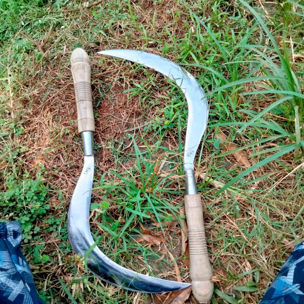 arit rumput ss baja asli super madura