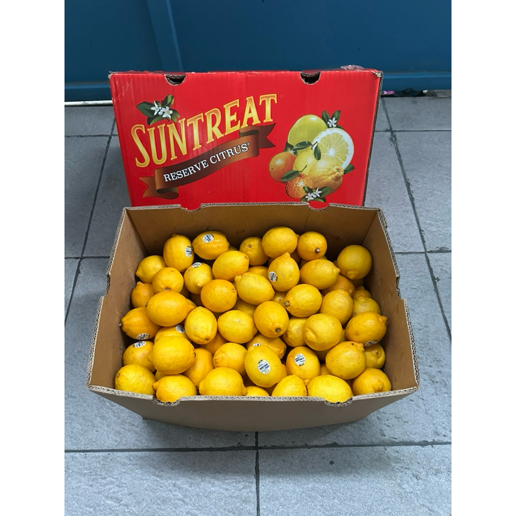 Lemon Citrus Australia 1 Dus (14 Kg) Fresh Import