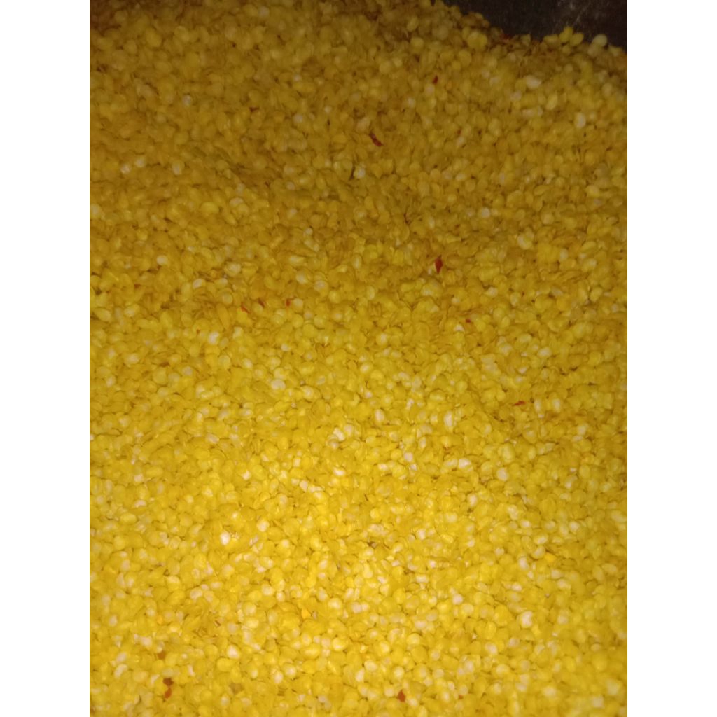 Benih CMK Baja 10 gram - Bibit Cabe Baja