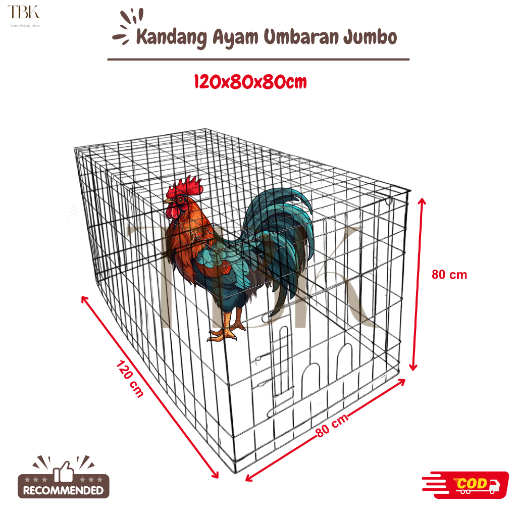 KANDANG AYAM UMBARAN GALVANIS | KANDANG AYAM JAGO | UKURAN 120x80x80 CM | BEST SELLER