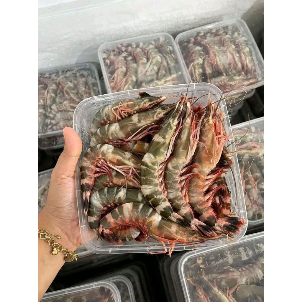 Udang windu 1kg box