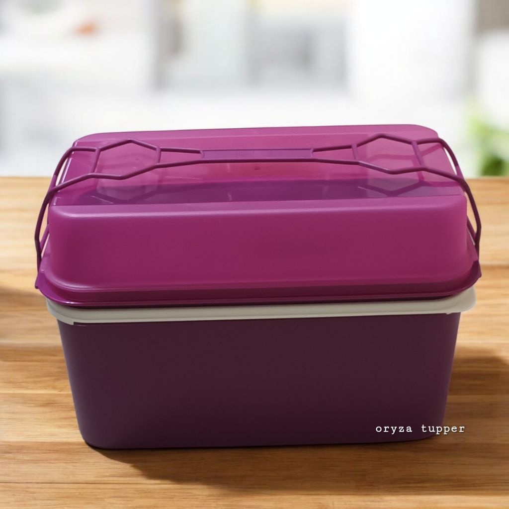 Rantang Tupperware Carry Away High || Carry Me Away
