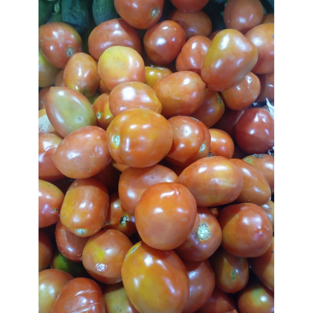 SShd Tomat merah segar 250gram