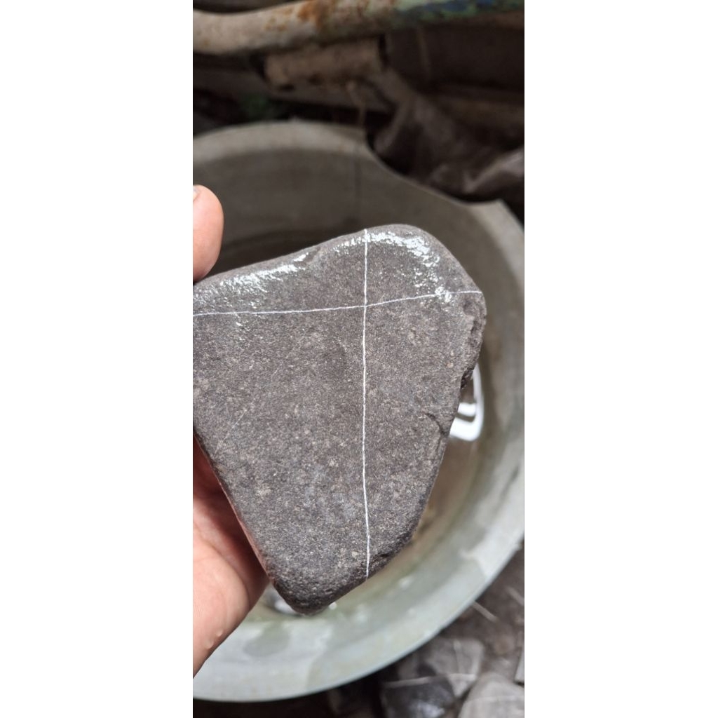 akik tapak jalak badar emas