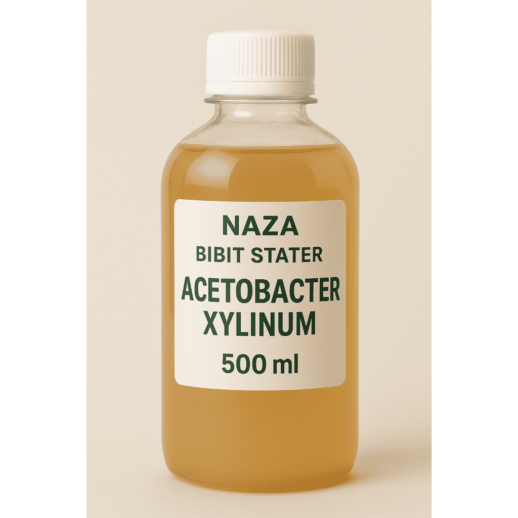 Starter Nata de Coco 500 ml – Acetobacter xylinum NAZA | Cocok Untuk Praktikum & Penelitian
