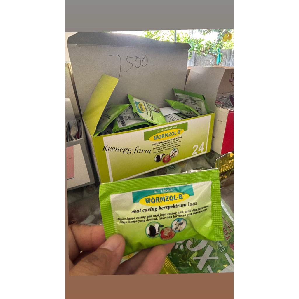 wormzole / wormzole bolus/ obat cacing sapi kambing