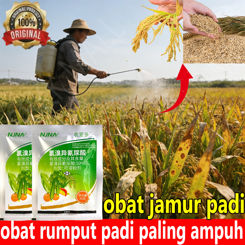 obat jamur padi obat rumput padi paling ampuh pupuk cair untuk padi obat rumput padi obat buah padi 