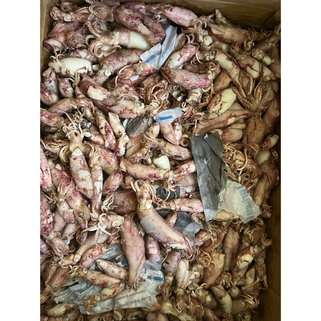 cumi asin telor pangandaran