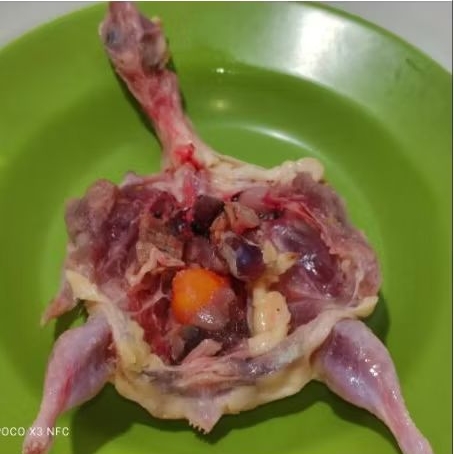 Puyuh Karkas 140-150 gram