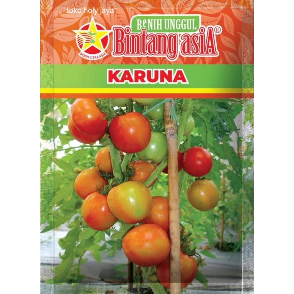 Benih tomat KARUNA 10 gram Bintang asia Tomat determinate dari bintang asia