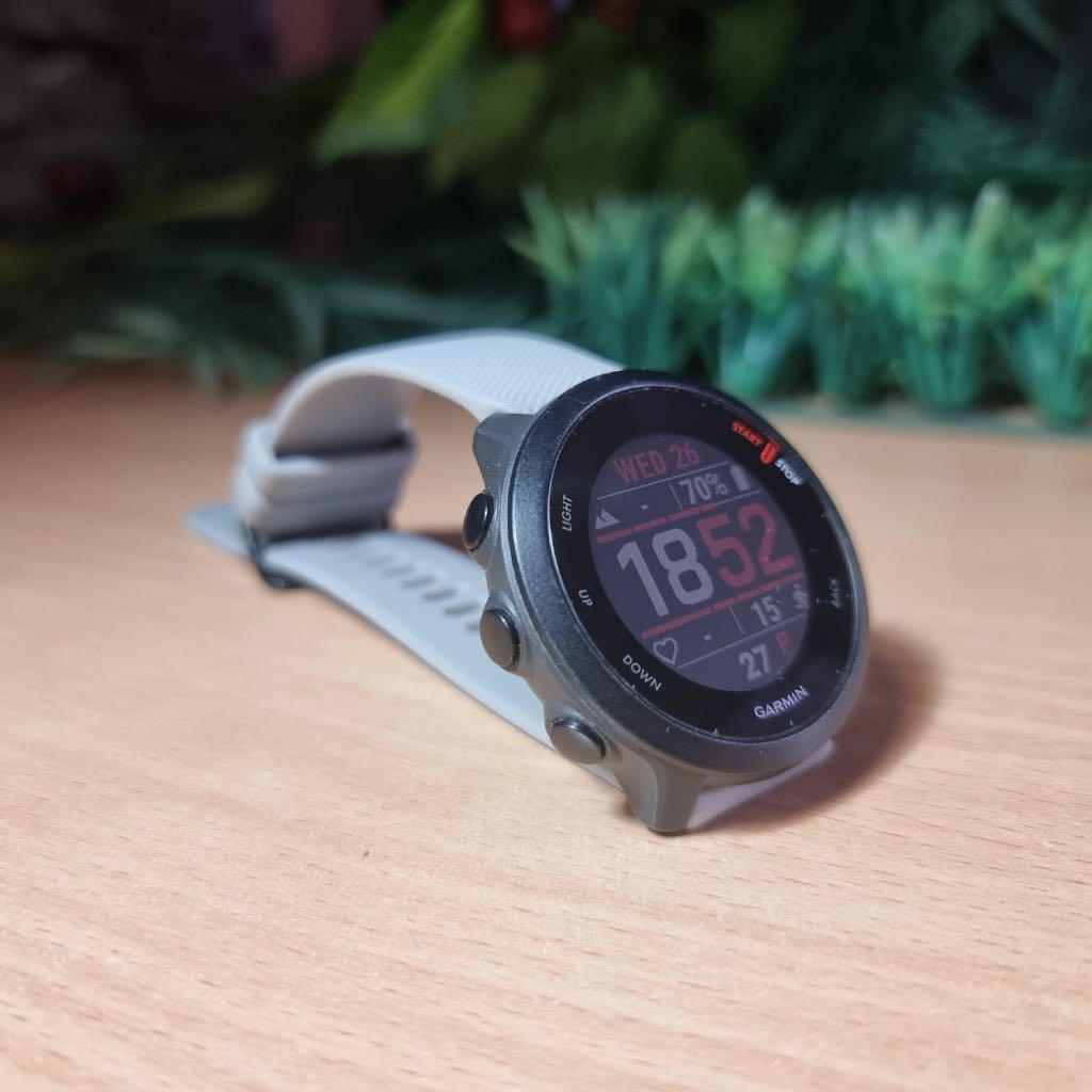 Smartwatch Garmin Forerunner 55