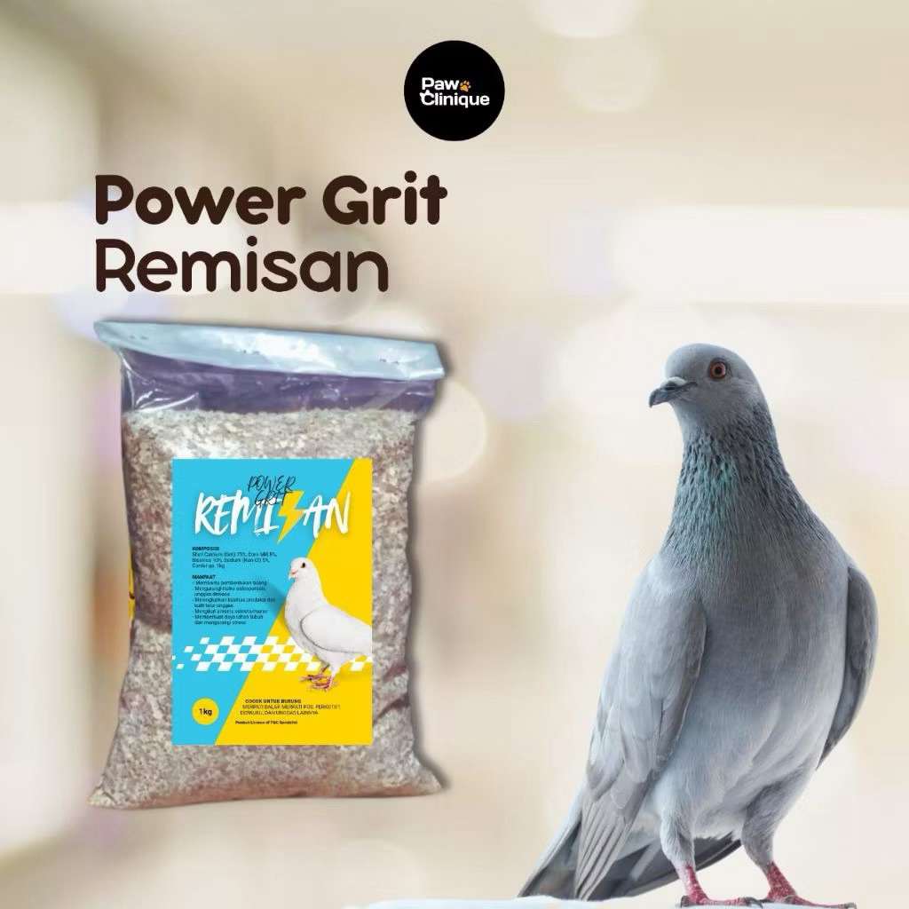 Remisan Pakan Merpati Cangkang Telur 1kg