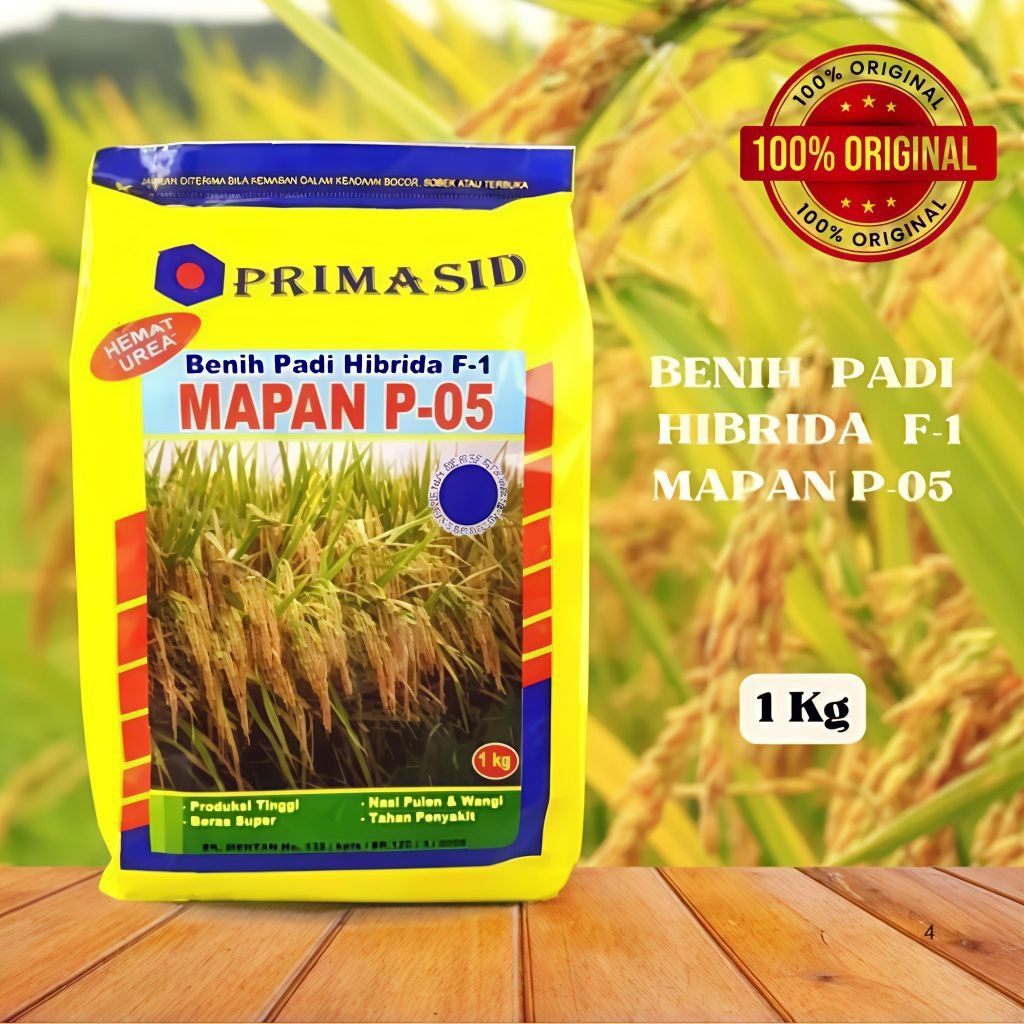1KG BENIH BIBIT PADI HIBRIDA MAPAN P 05 ORI, PADI SUPER UNGGUL BERKWALITAS.
