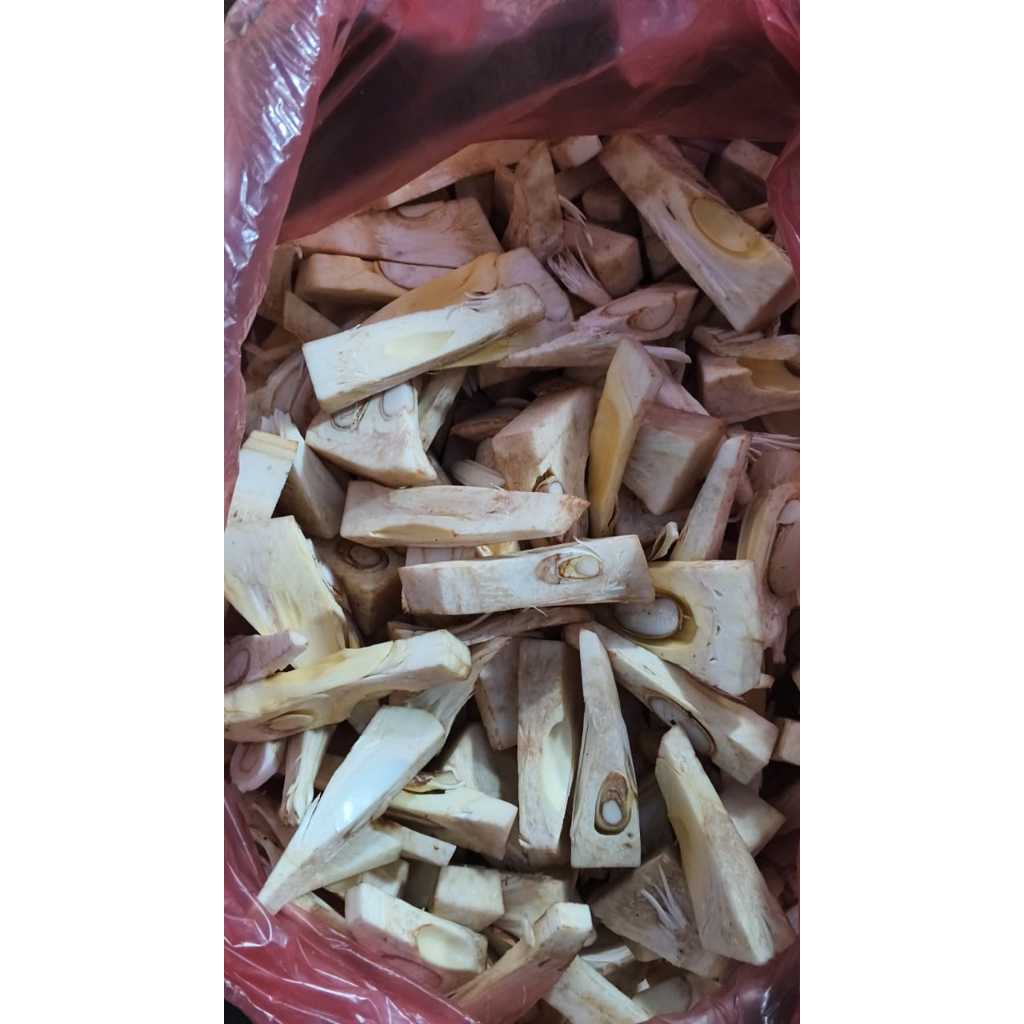 Nangka Sayur Mentah Bahan Gudeg Fresh DS