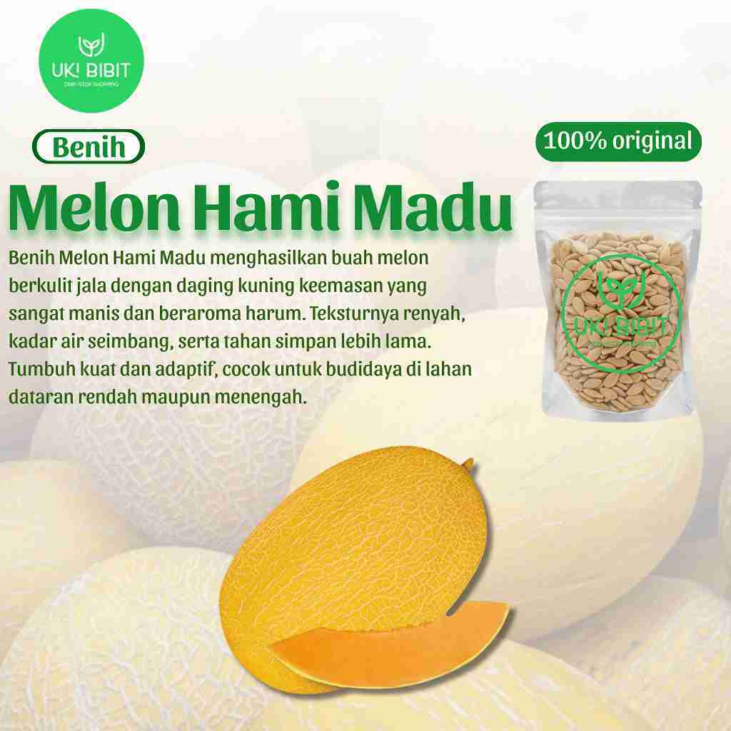 ( 5 Butir ) Benih Biji Melon Hami Madu | Xinjiang Hami Melon