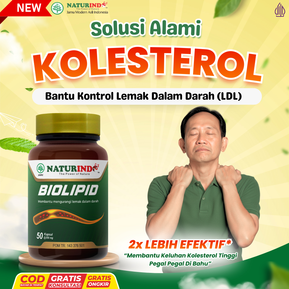 Obat Kolesterol Batu Empedu Penghancur Batu Empedu Peluruh Batu Empedu Tanpa Operasi Naturindo