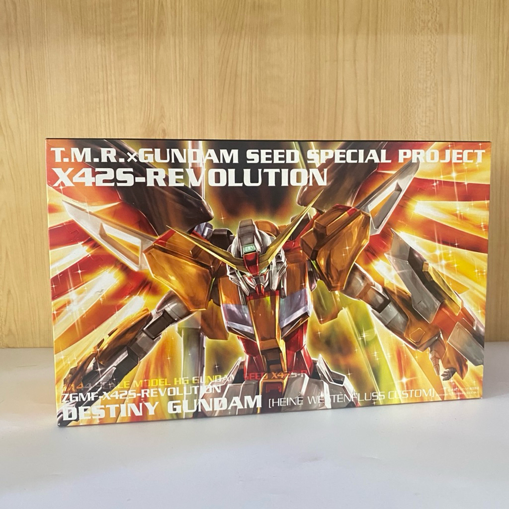 HG Destiny Gundam x Tm Revolution heine westenfluss custom bandai