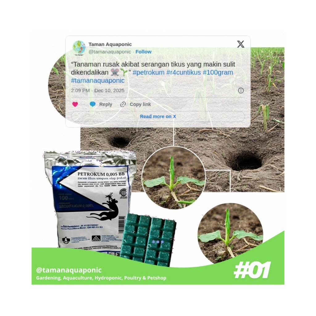 Umpan Racun Tikus Petrokum 1 Kg