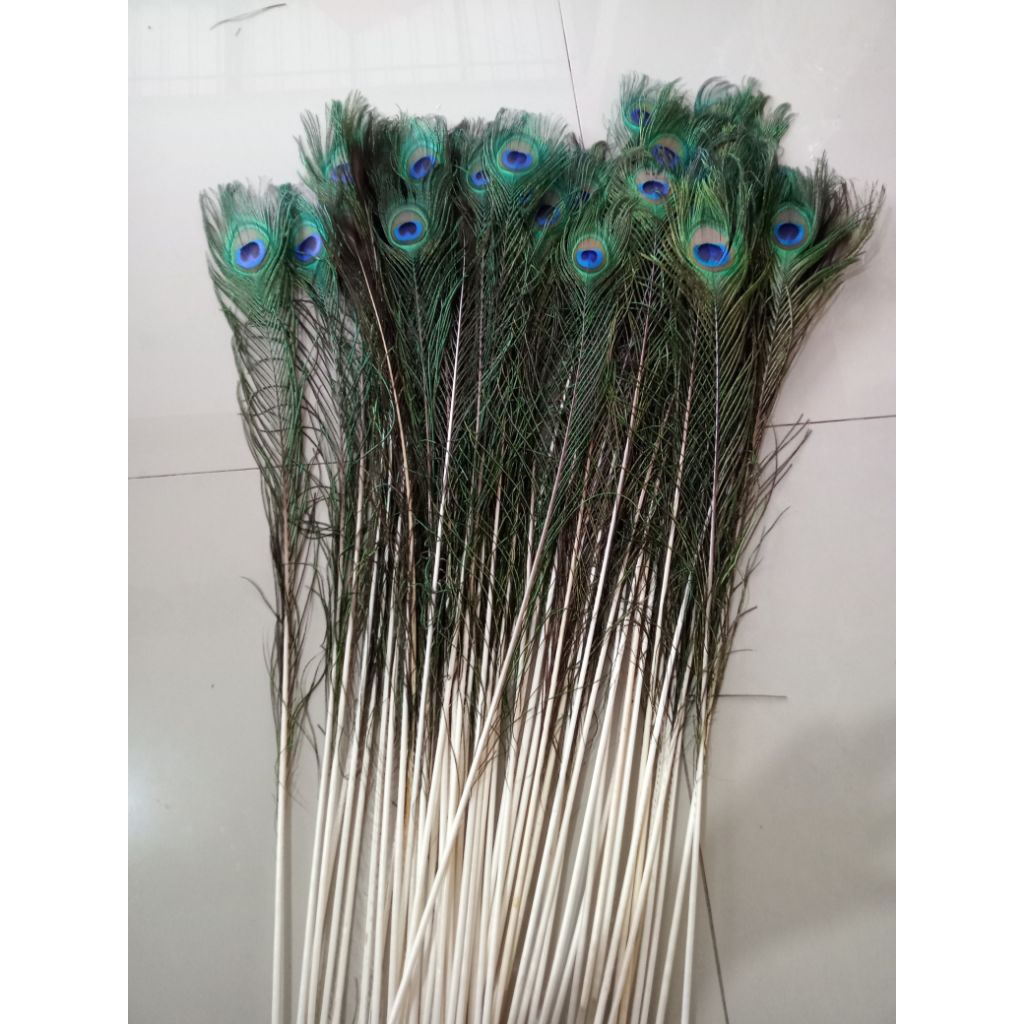 Bulu merak replika/bulu hiasan