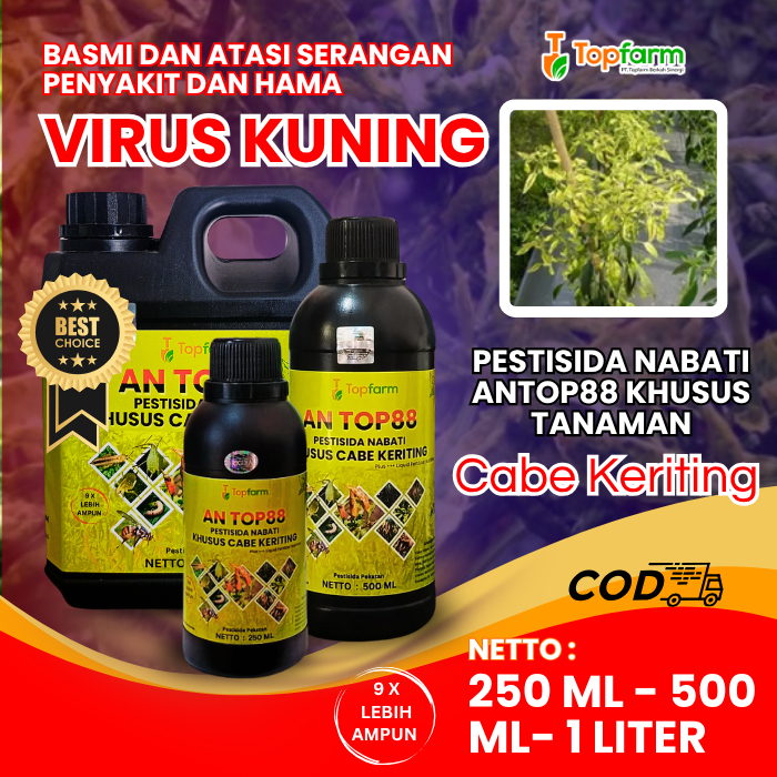 Obat Cabe Topfarm / Obat Daun Kuning Daun Cabe Keriting / Obat Daun Bule Cabe Merah / Obat Daun Kuni