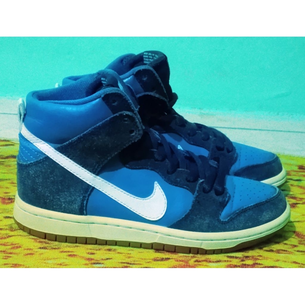 Sepatu Nike SB