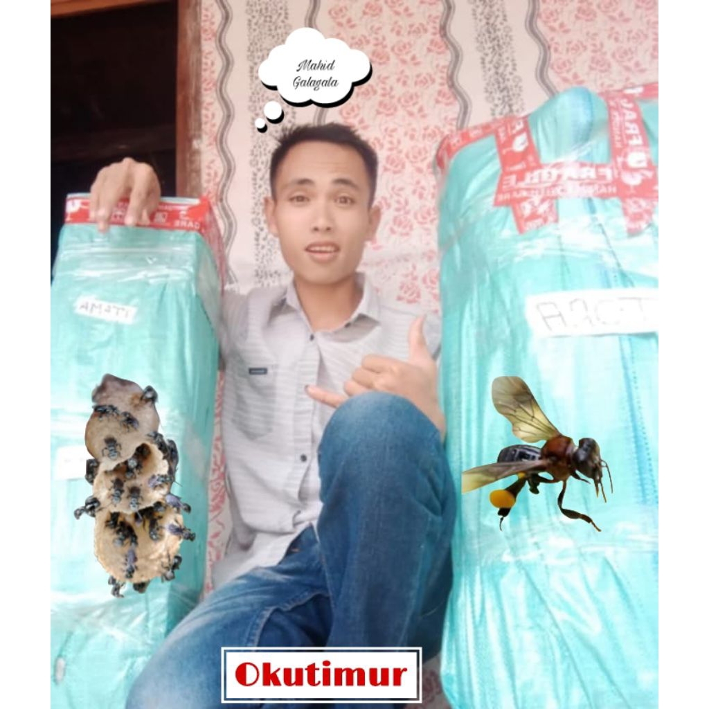 Galagala/Klanceng Log ori jenis itama