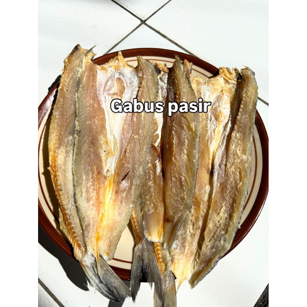 Gabus Pasir Ikan Fresh