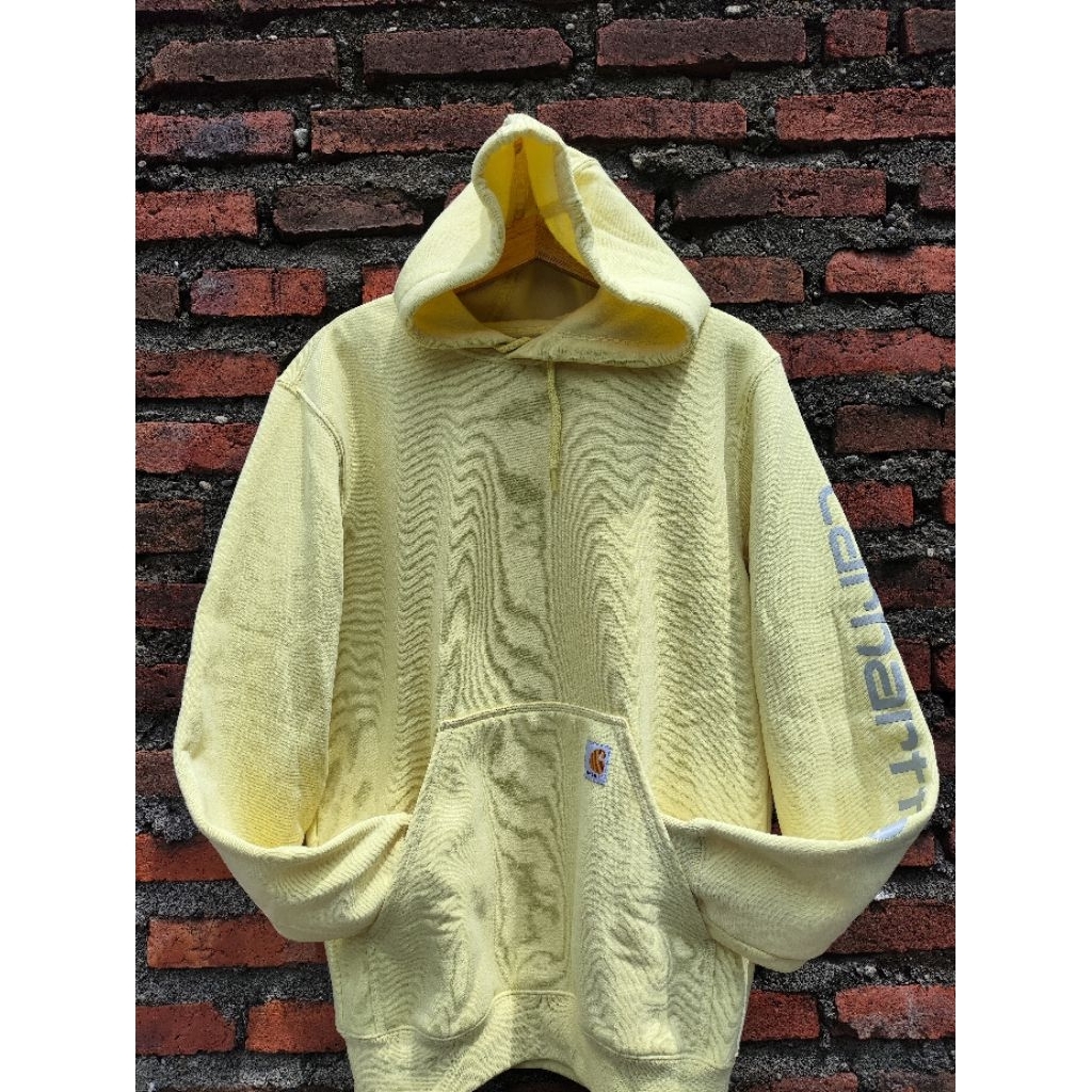 HOODIE SPELOUT CARHART BNWT