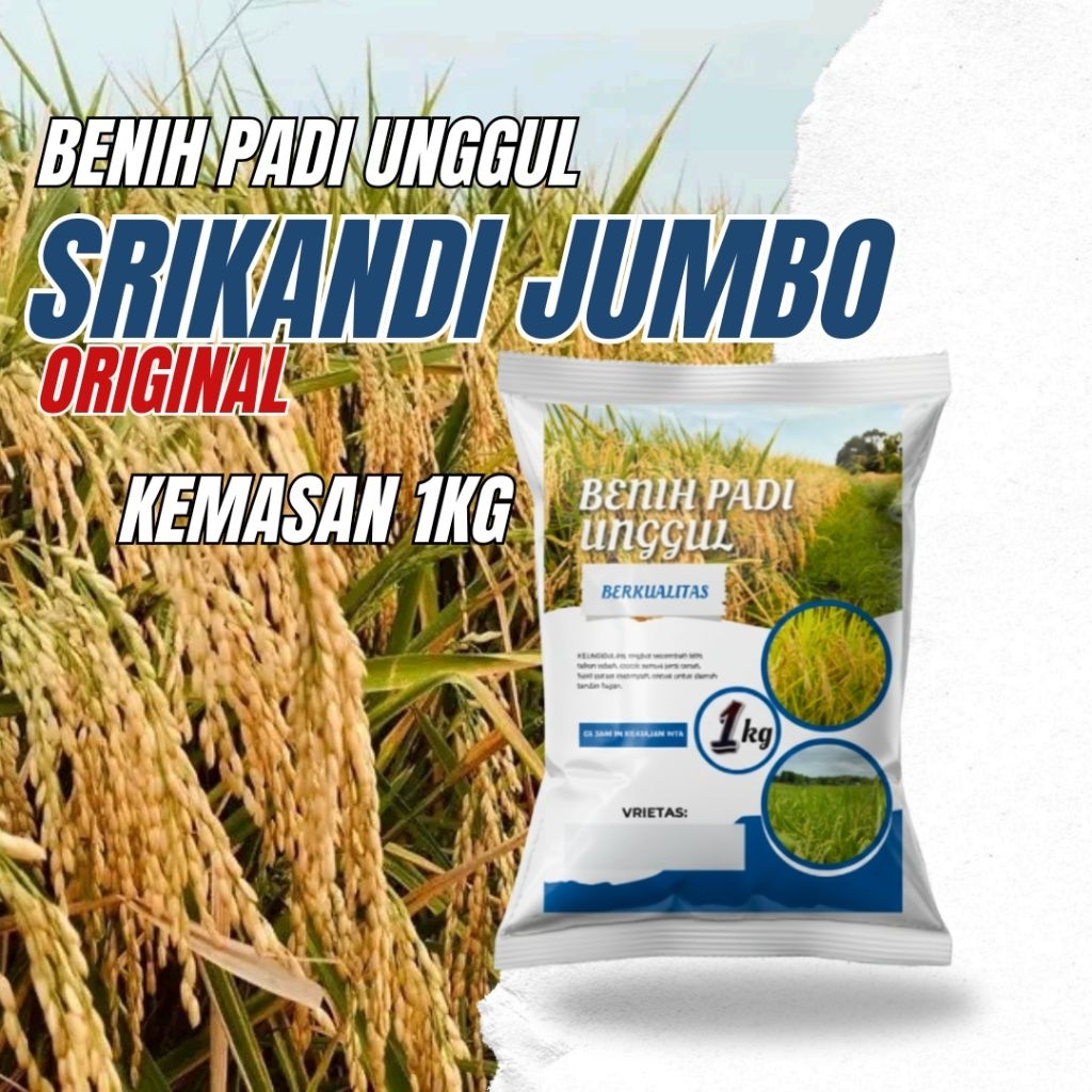 Benih padi unggul Srikandi jumbo 1kg original