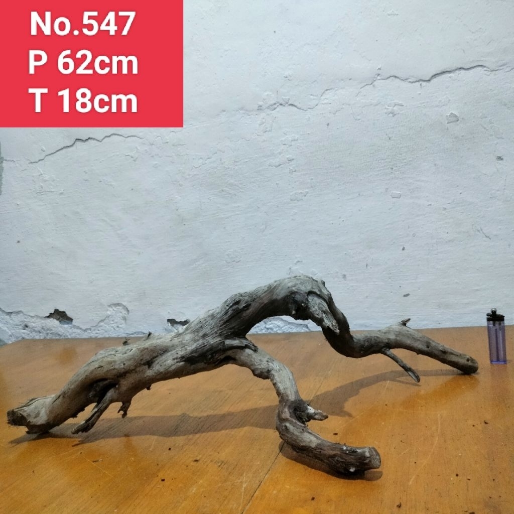 akar santigi laut kayu santigi laut akar dekorasi aquascape aquarium 547