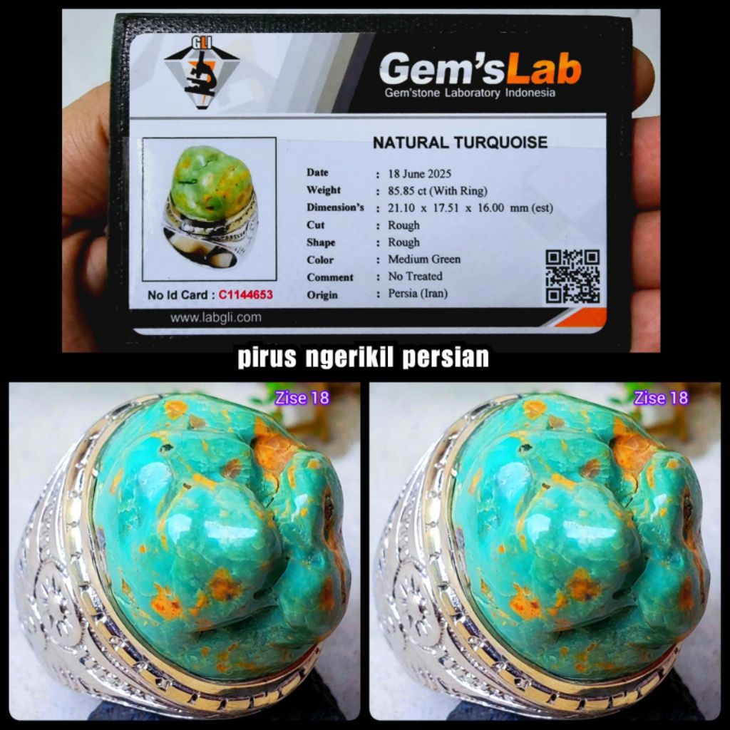 pirus ngerikilan jumbo asli Persia iran super kuno