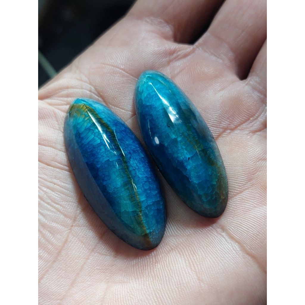 Pandan biru sisik naga pecah seribu