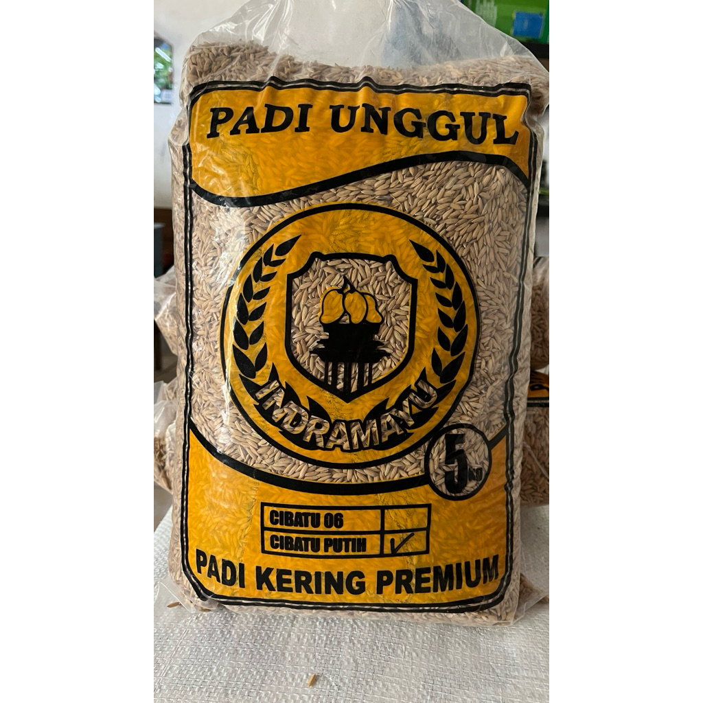 BENIH PADI CIBATU PUTIH