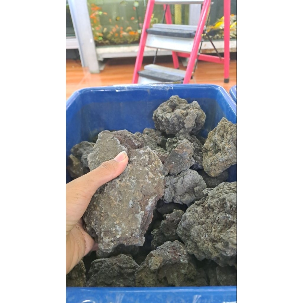1 KG BATU LAVA ROCK HITAM RANDOM