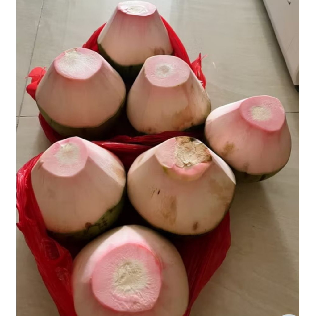 Kelapa Hijau/Kelapa ijo obat