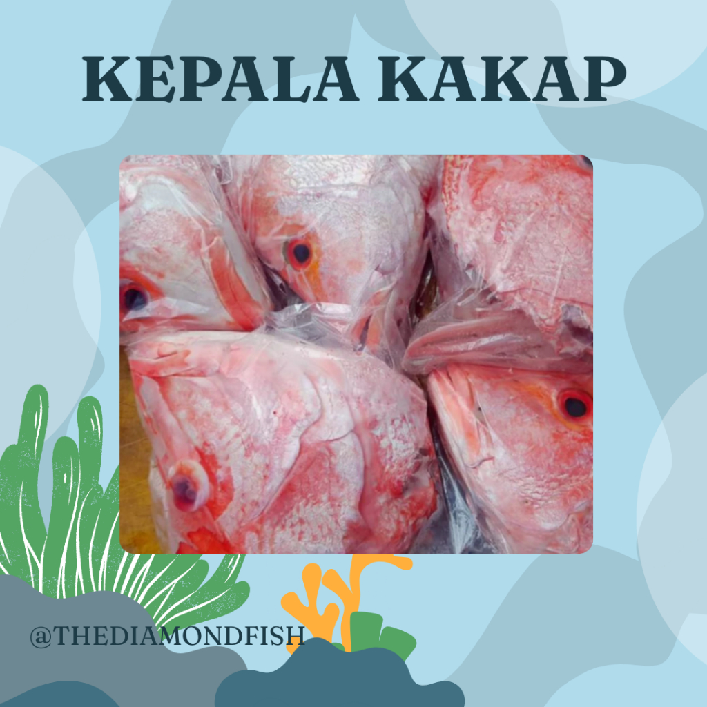 Kepala Kakap Merah 1Kg Kepala Kakap Merah Segar Kepala Kakap