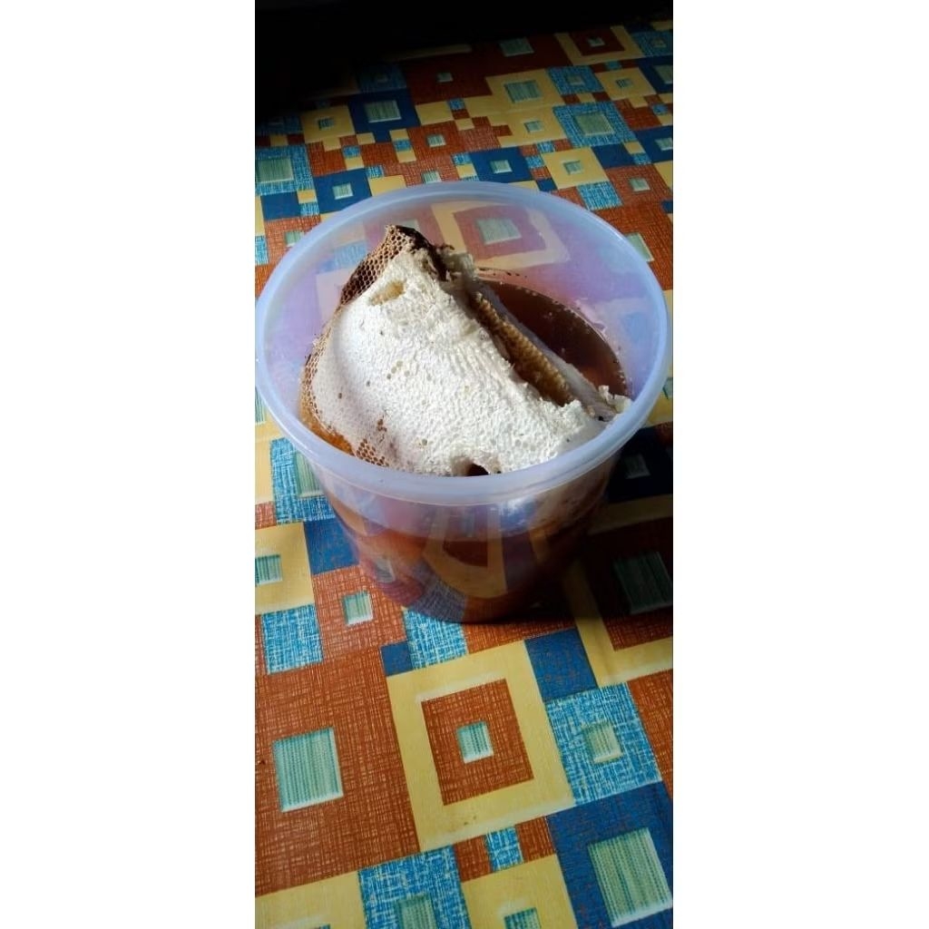 Madu Lebah Asli 100%