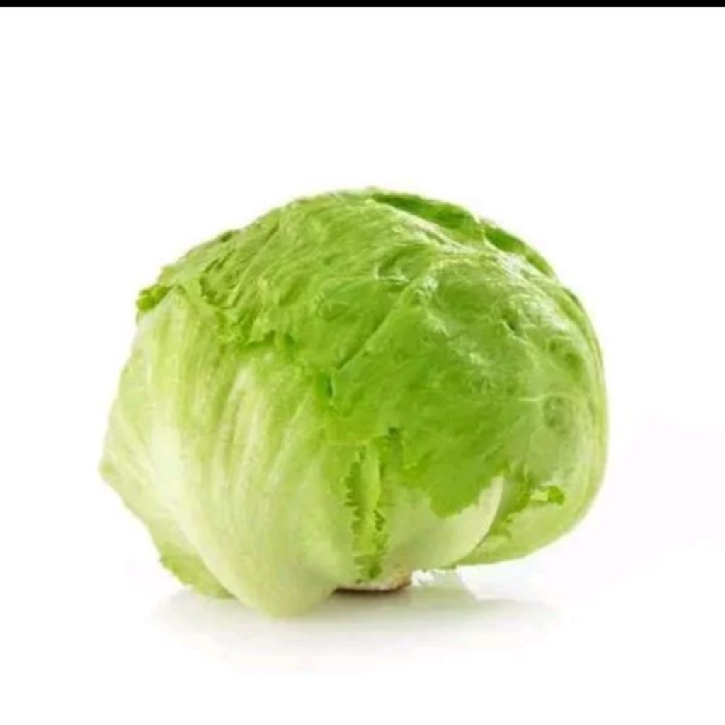 sayur letus/salad letus per 250 grm