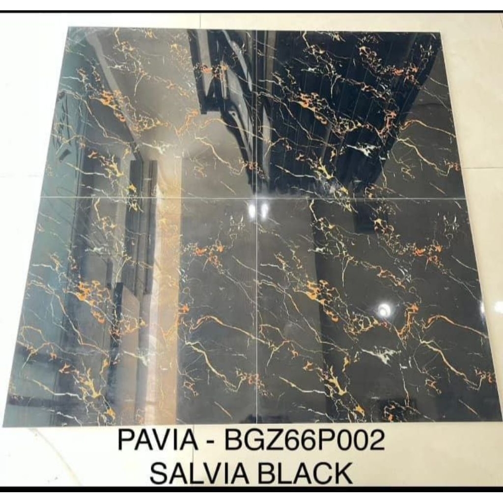 Granit Hitam corak emas 60x60 Salvia Black