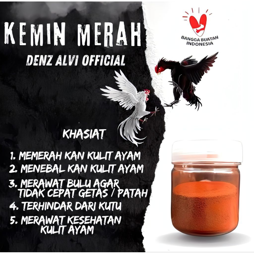 Kemin merah ayam memerahkan kulit ayam laga - kemin merah vietnam menebalkan kulit ayam laga - kemin