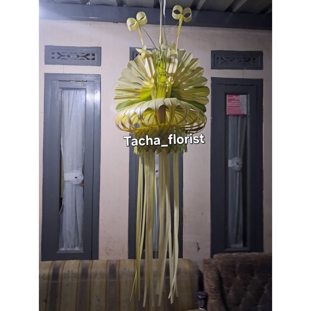 Janur kuning pernikahan/khitanan asli segar CMHI BDG PDLRG