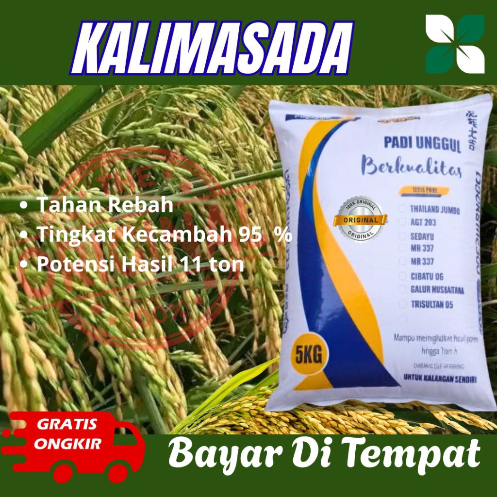 Padi Unggul KALIMASADA kemasan 1-5kg